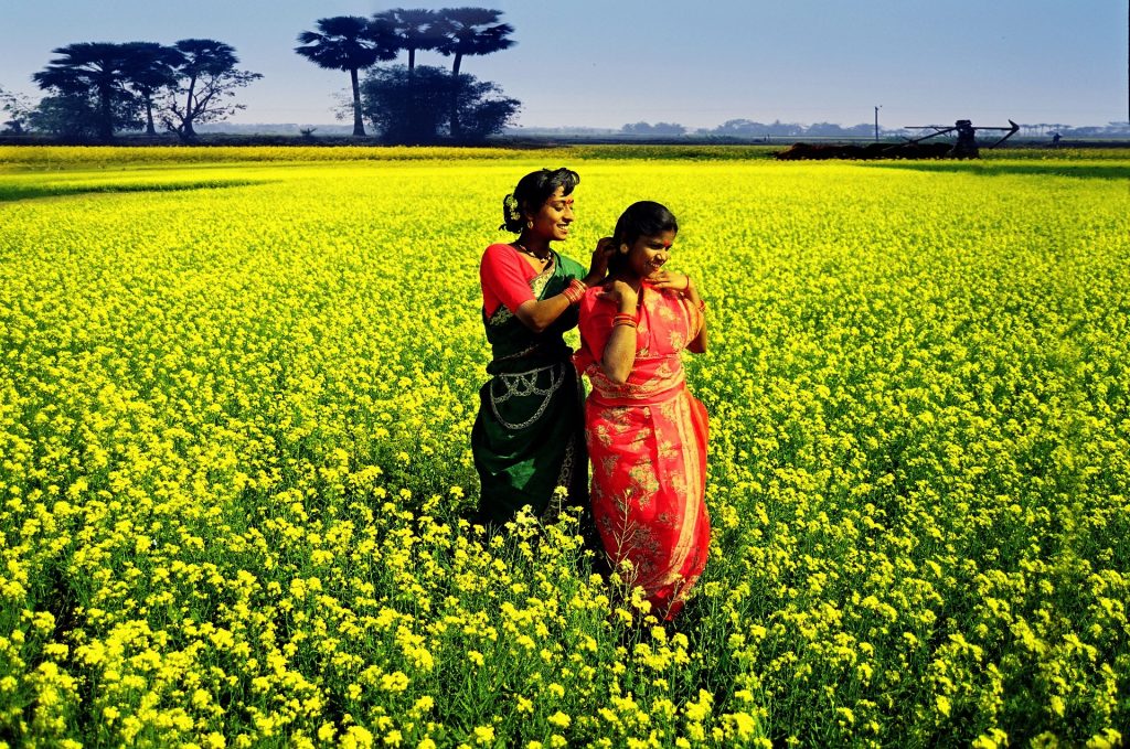 The current image has no alternative text. The file name is: bangladesh-3561318_1920.jpg
